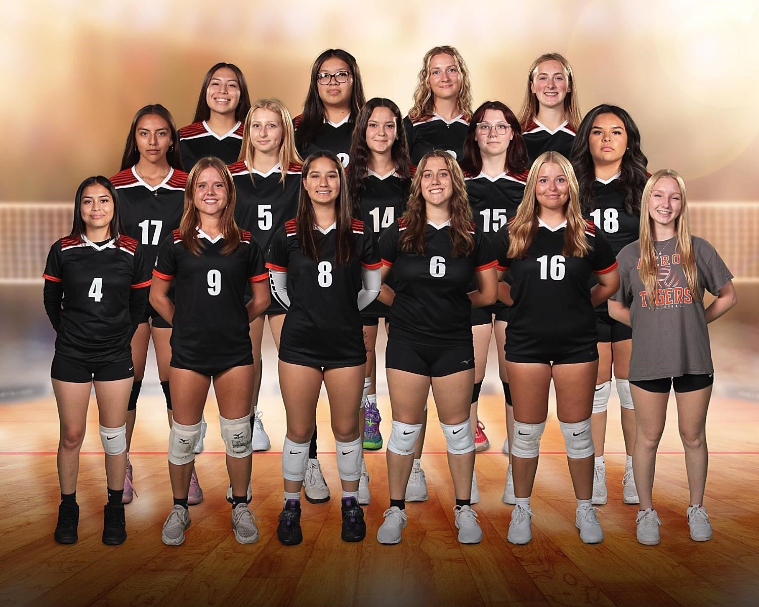 2024 Varsity Volleyball